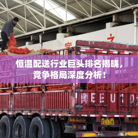 恒温配送行业巨头排名揭晓，竞争格局深度分析！