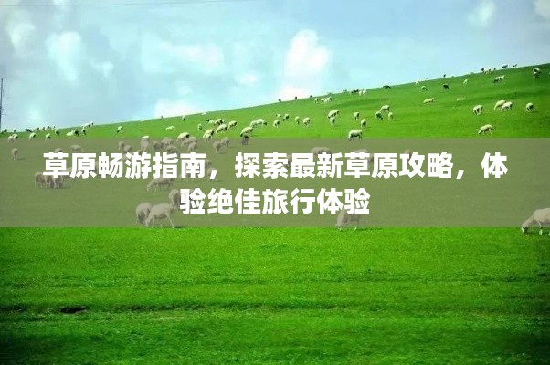 草原畅游指南，探索最新草原攻略，体验绝佳旅行体验