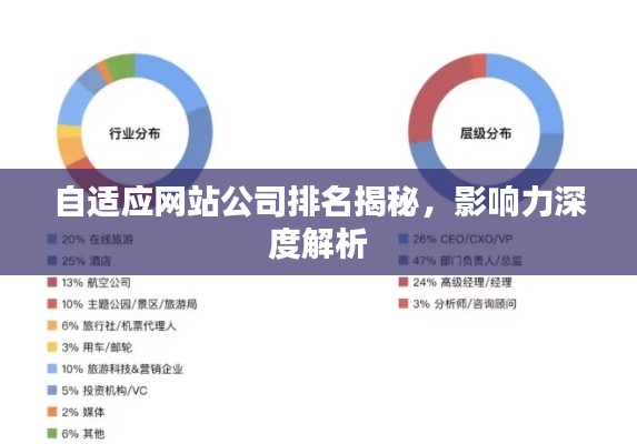 自适应网站公司排名揭秘，影响力深度解析