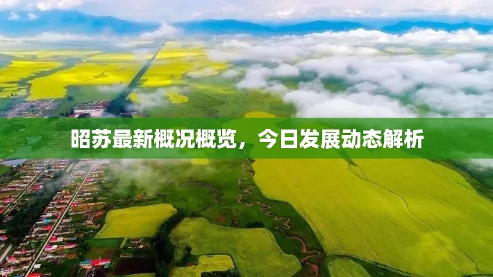 昭苏最新概况概览，今日发展动态解析