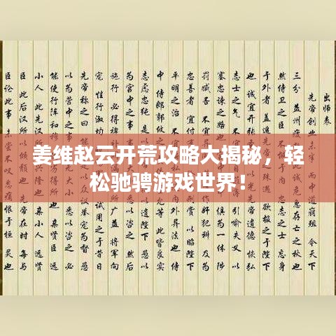 姜维赵云开荒攻略大揭秘，轻松驰骋游戏世界！