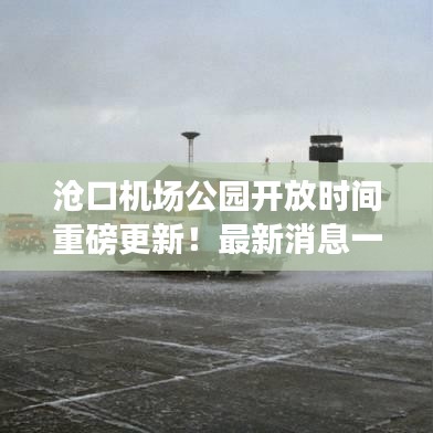 沧口机场公园开放时间重磅更新！最新消息一网打尽！