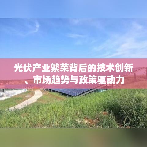 光伏产业繁荣背后的技术创新、市场趋势与政策驱动力