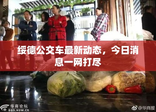 绥德公交车最新动态，今日消息一网打尽