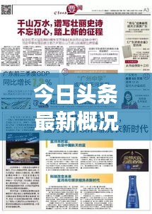 今日头条最新概况速览