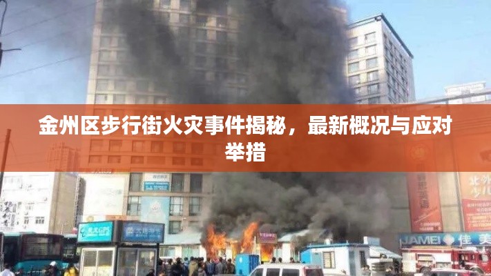 金州区步行街火灾事件揭秘，最新概况与应对举措