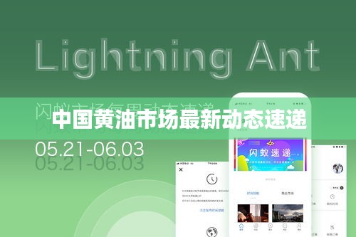 中国黄油市场最新动态速递