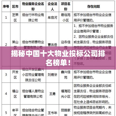 揭秘中国十大物业投标公司排名榜单！