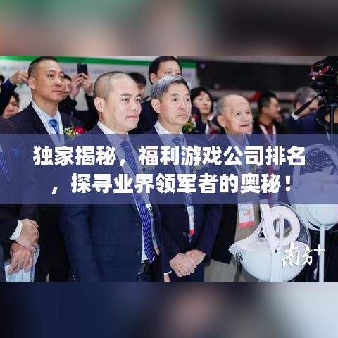 独家揭秘，福利游戏公司排名，探寻业界领军者的奥秘！