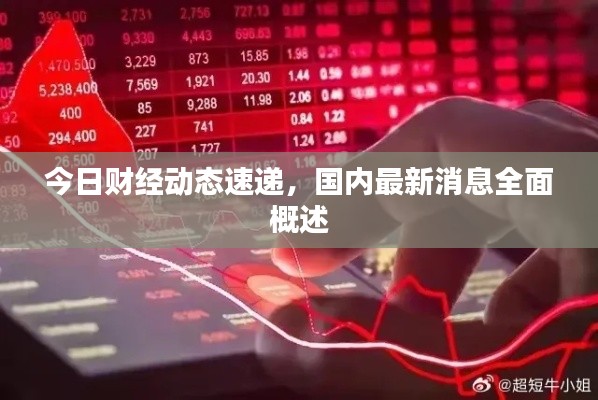 今日财经动态速递，国内最新消息全面概述