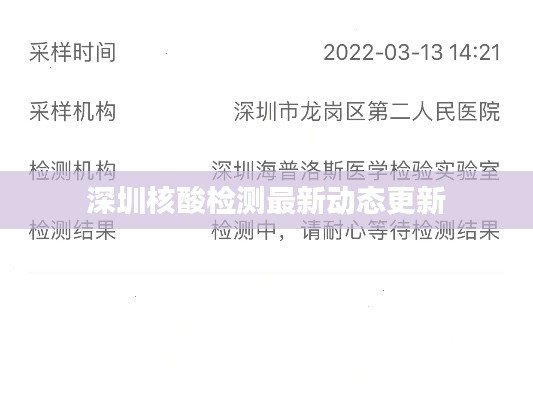 深圳核酸检测最新动态更新
