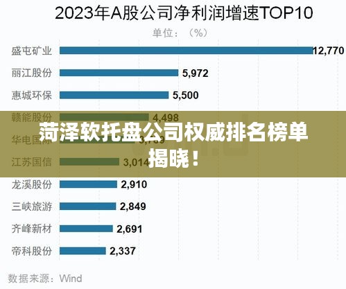 菏泽软托盘公司权威排名榜单揭晓！