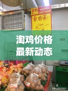 淘鸡价格最新动态，市场走势及影响因素深度解析