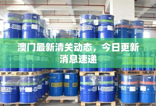 澳门最新清关动态，今日更新消息速递