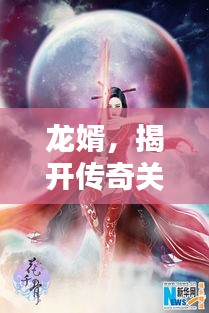 龙婿，揭开传奇关键词的神秘面纱