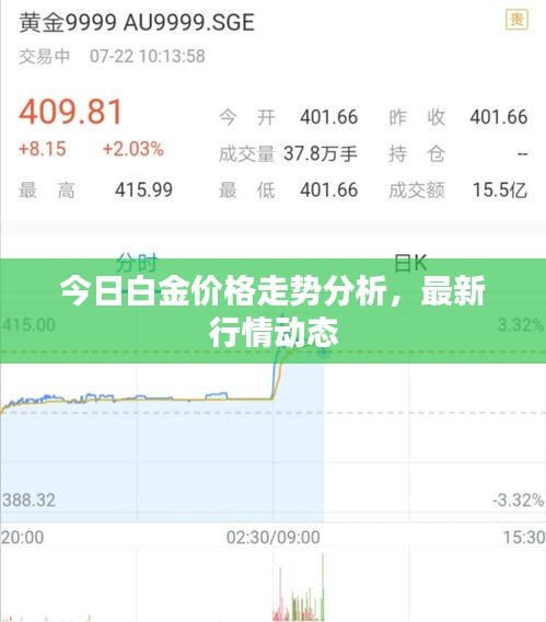 今日白金价格走势分析，最新行情动态