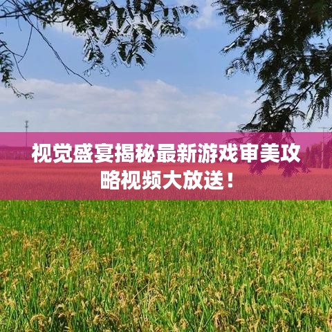 视觉盛宴揭秘最新游戏审美攻略视频大放送！