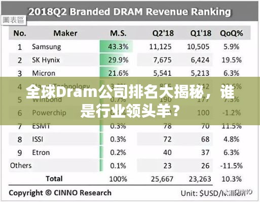 全球Dram公司排名大揭秘，谁是行业领头羊？