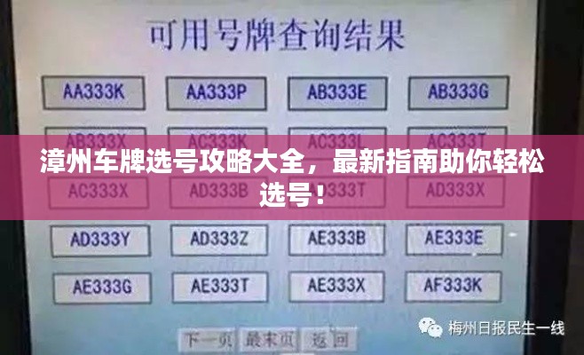 漳州车牌选号攻略大全，最新指南助你轻松选号！