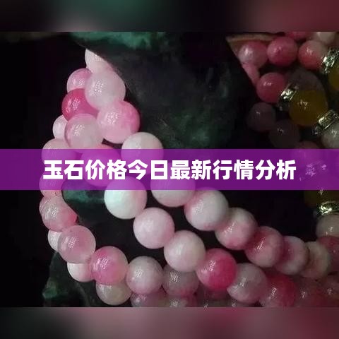 犯而不校 第2页