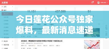 今日莲花公众号独家爆料，最新消息速递！