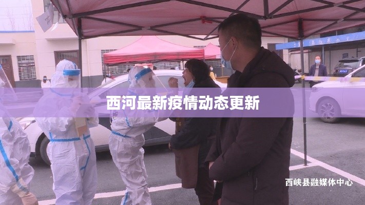 西河最新疫情动态更新