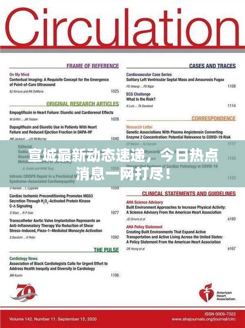 宣城最新动态速递，今日热点消息一网打尽！