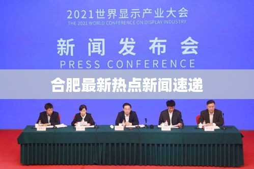 合肥最新热点新闻速递