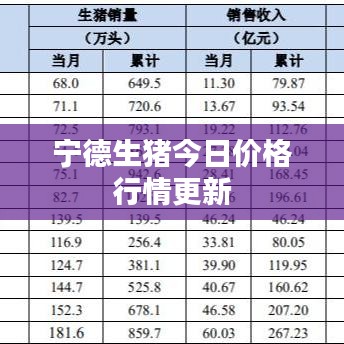 宁德生猪今日价格行情更新
