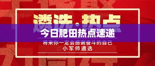 今日肥田热点速递