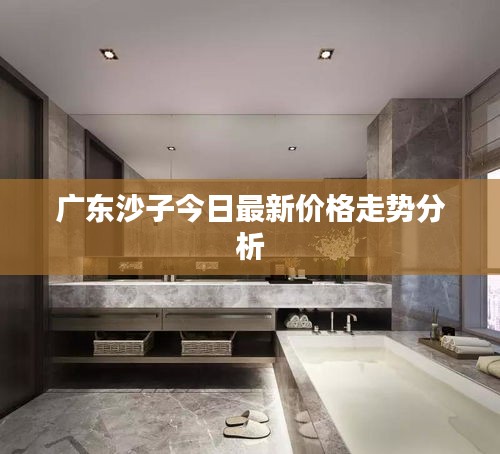 广东沙子今日最新价格走势分析