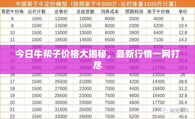 今日牛帮子价格大揭秘，最新行情一网打尽