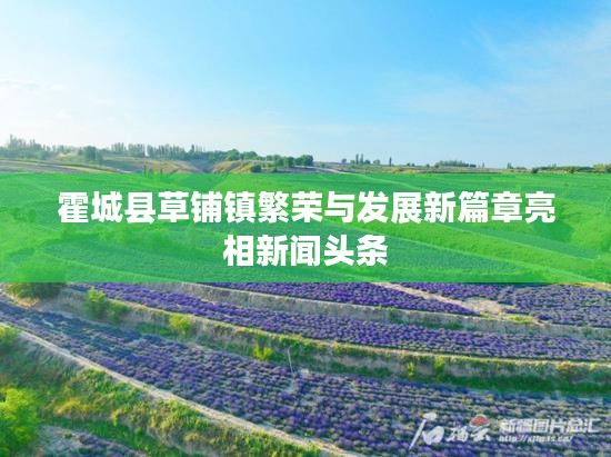 霍城县草铺镇繁荣与发展新篇章亮相新闻头条