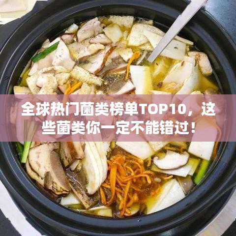 全球热门菌类榜单TOP10，这些菌类你一定不能错过！
