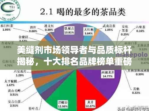 美缝剂市场领导者与品质标杆揭秘，十大排名品牌榜单重磅出炉！