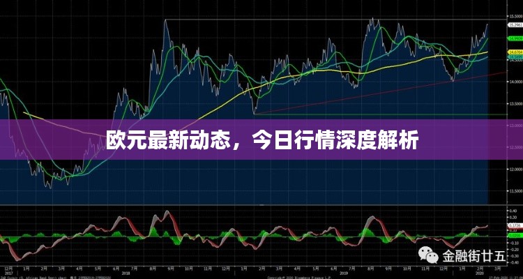 欧元最新动态，今日行情深度解析