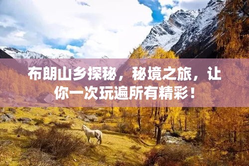 布朗山乡探秘，秘境之旅，让你一次玩遍所有精彩！