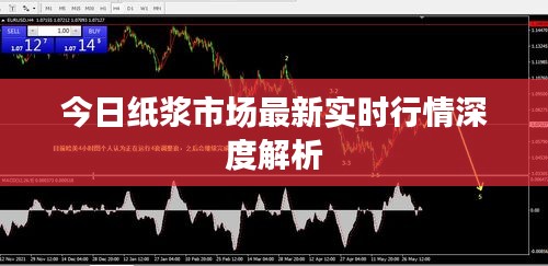 今日纸浆市场最新实时行情深度解析