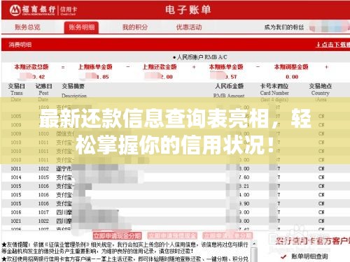 最新还款信息查询表亮相，轻松掌握你的信用状况！