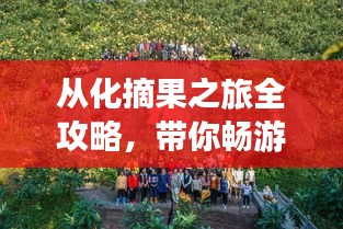 从化摘果之旅全攻略，带你畅游自然之美！