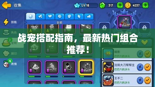 战宠搭配指南，最新热门组合推荐！