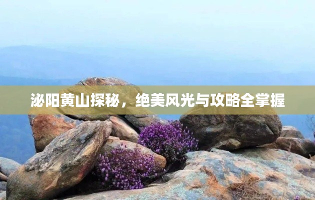 泌阳黄山探秘，绝美风光与攻略全掌握