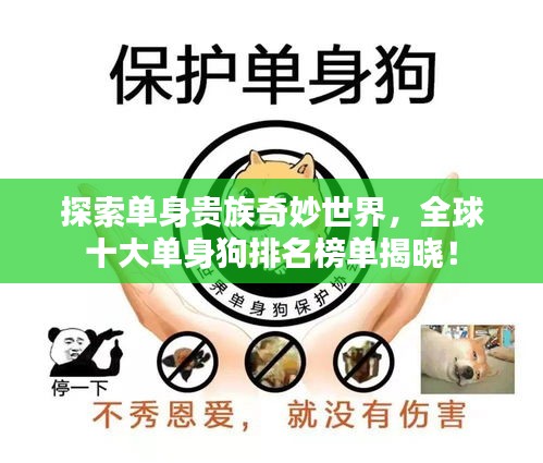 映月读书 第2页