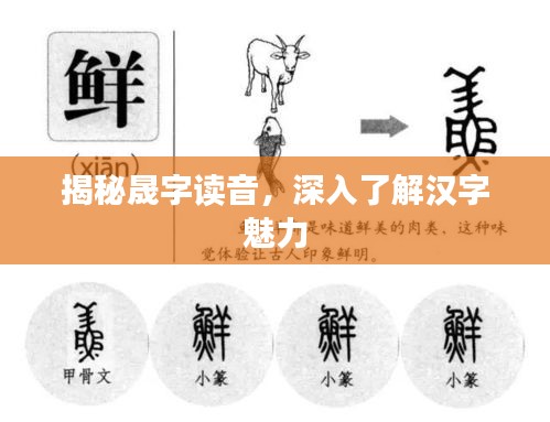 揭秘晟字读音，深入了解汉字魅力