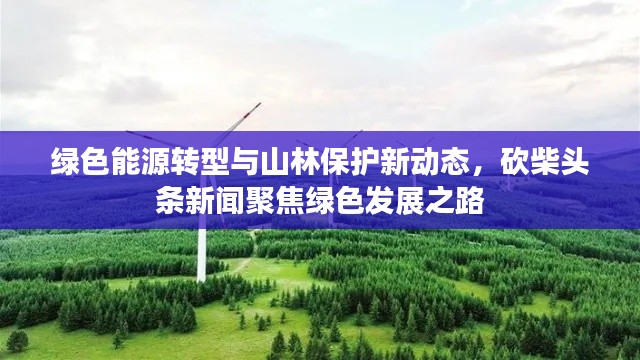 绿色能源转型与山林保护新动态，砍柴头条新闻聚焦绿色发展之路