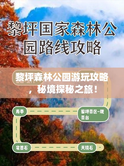 黎坪森林公园游玩攻略，秘境探秘之旅！