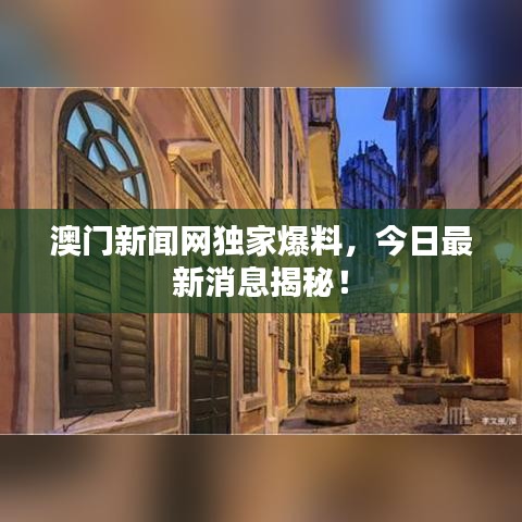 澳门新闻网独家爆料，今日最新消息揭秘！