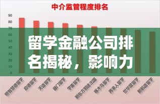 留学金融公司排名揭秘，影响力深度解析