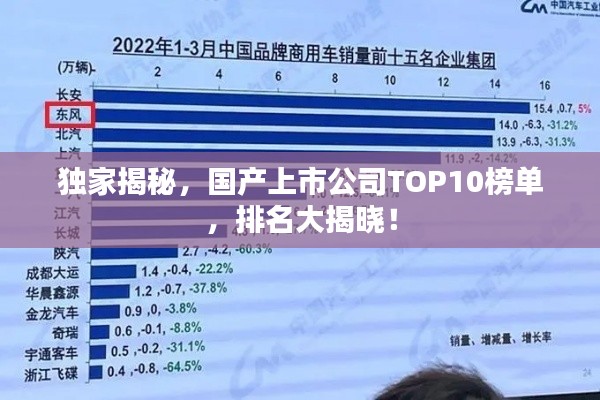 独家揭秘，国产上市公司TOP10榜单，排名大揭晓！