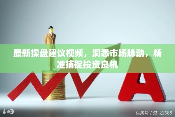 最新操盘建议视频，洞悉市场脉动，精准捕捉投资良机
